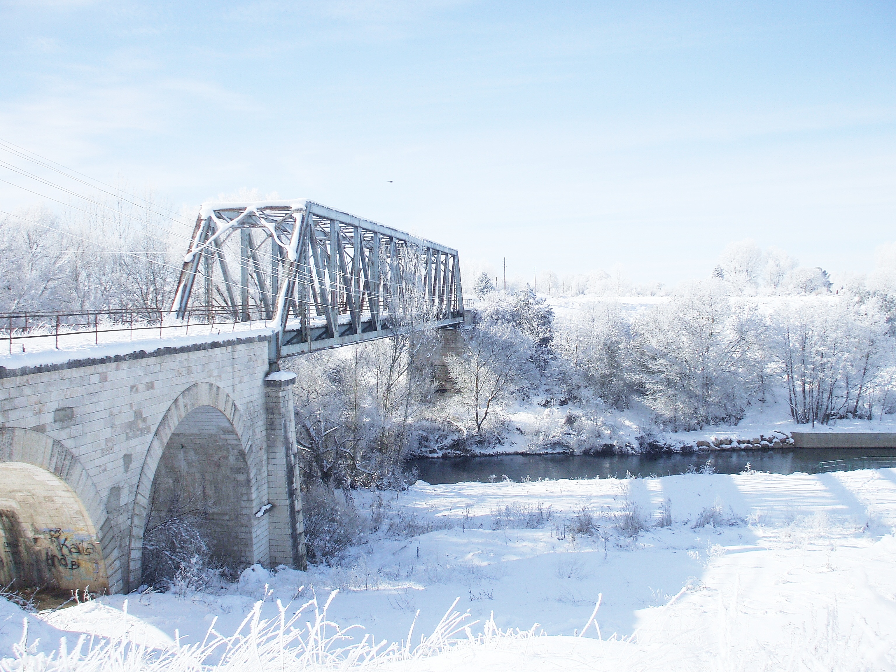Into the white
