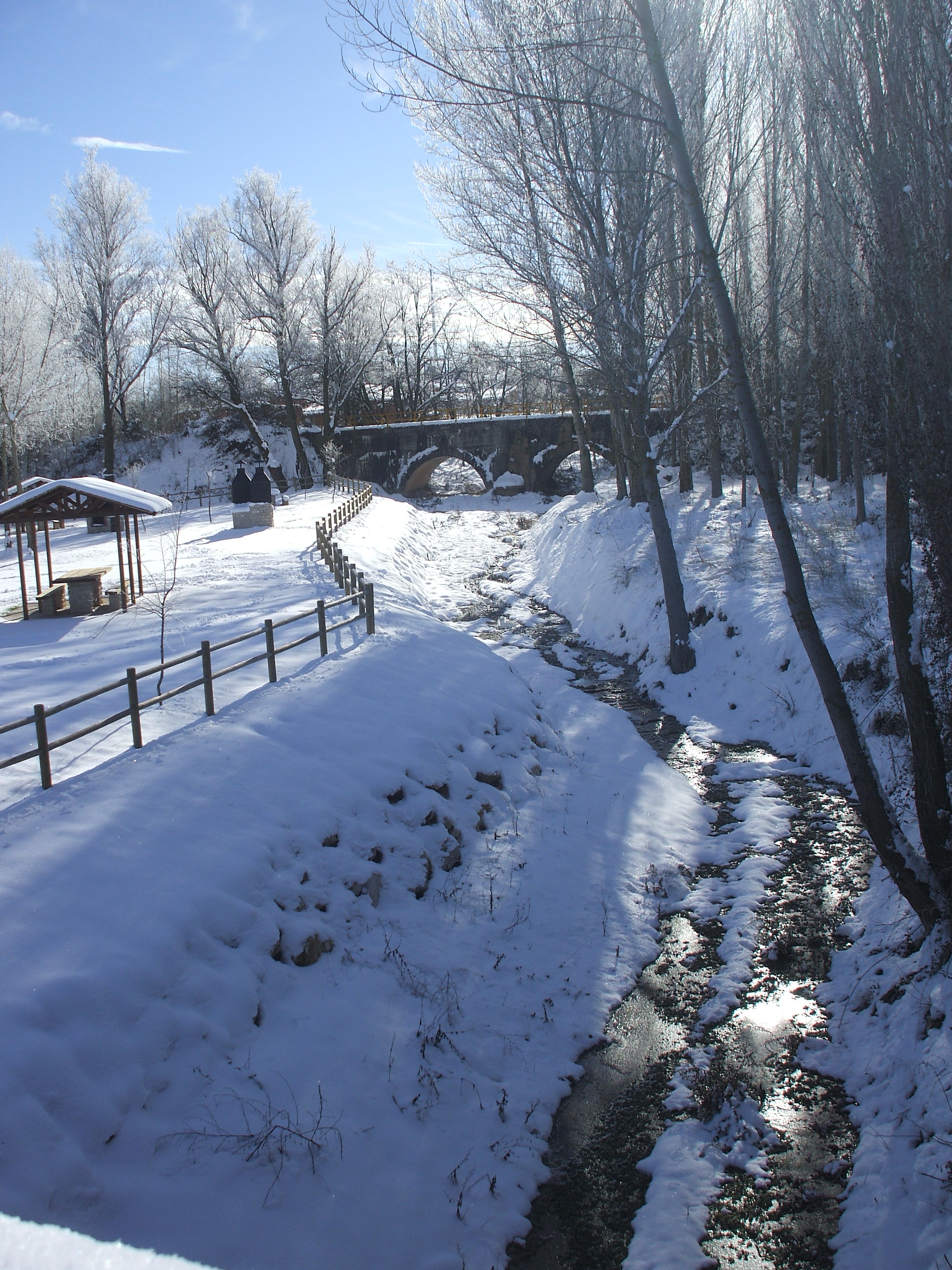 Invernalia