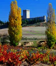 Ruta del Duero